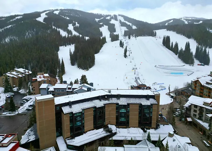 Mp410 Mountain Plaza 1br 2ba -pet Friendly Apartment *