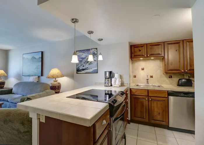 Mp410 Mountain Plaza 1br 2ba -pet Friendly Copper Mountain