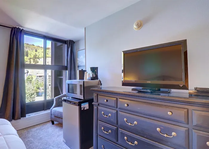 Mp410 Mountain Plaza 1br 2ba -pet Friendly Copper Mountain